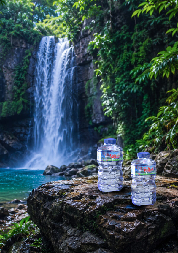 0,33L Bouteille d'eau minérale 0,33 L